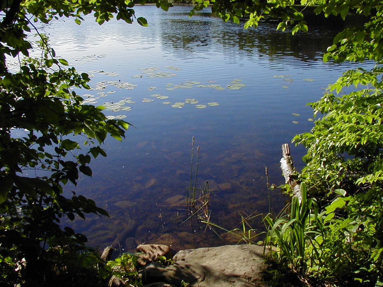 Lebanon Hills Regional Park photo 2