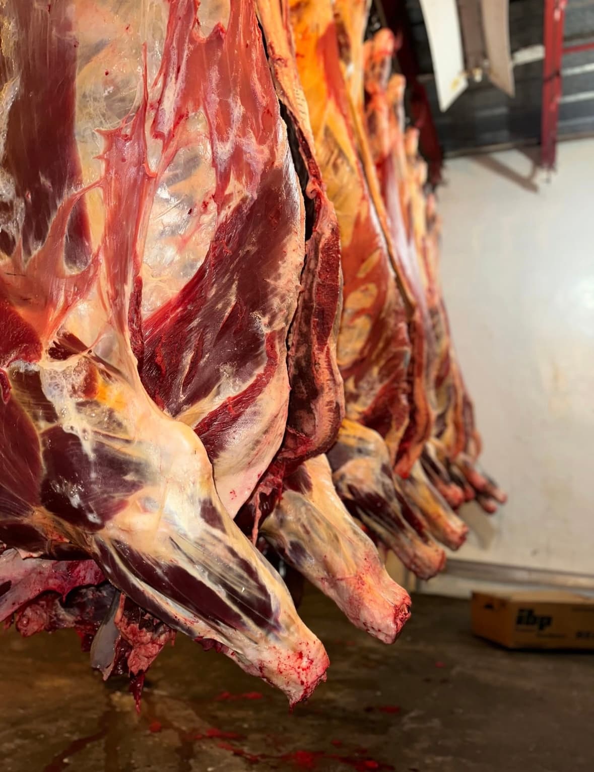 Gunderson’s Food Service