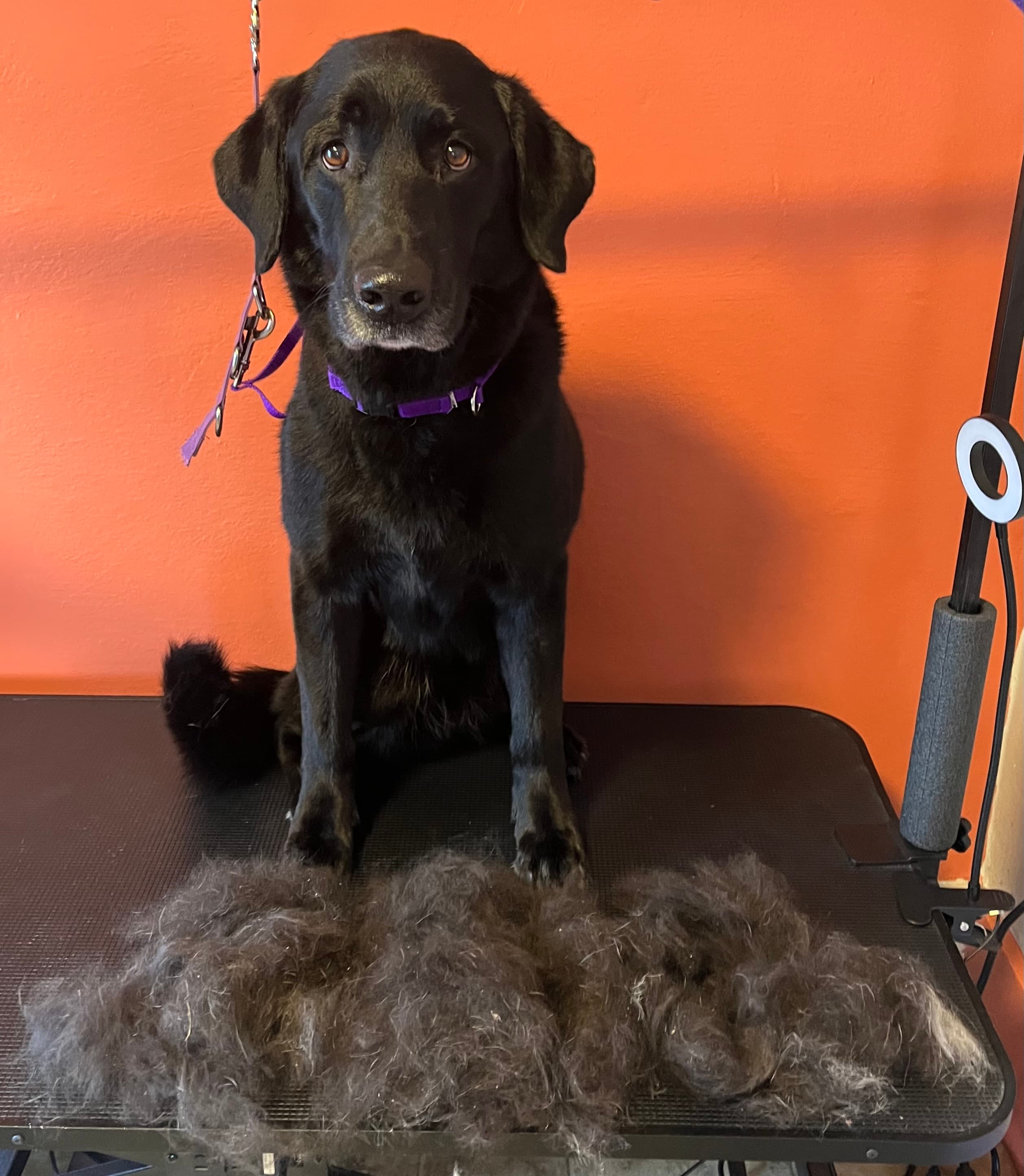 Deshed Add On Service