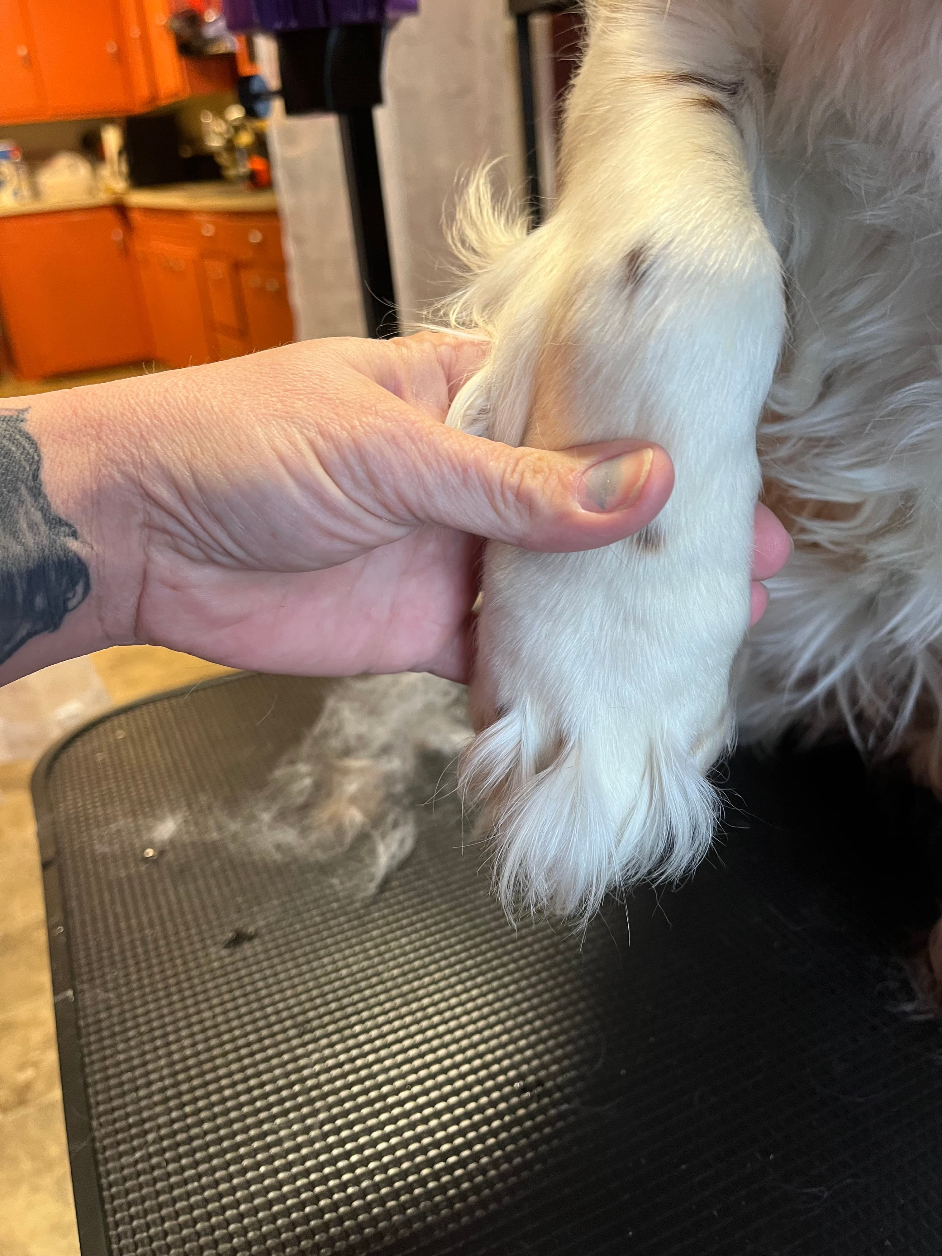 Foot Cleanup (For “Grinch Feet”)